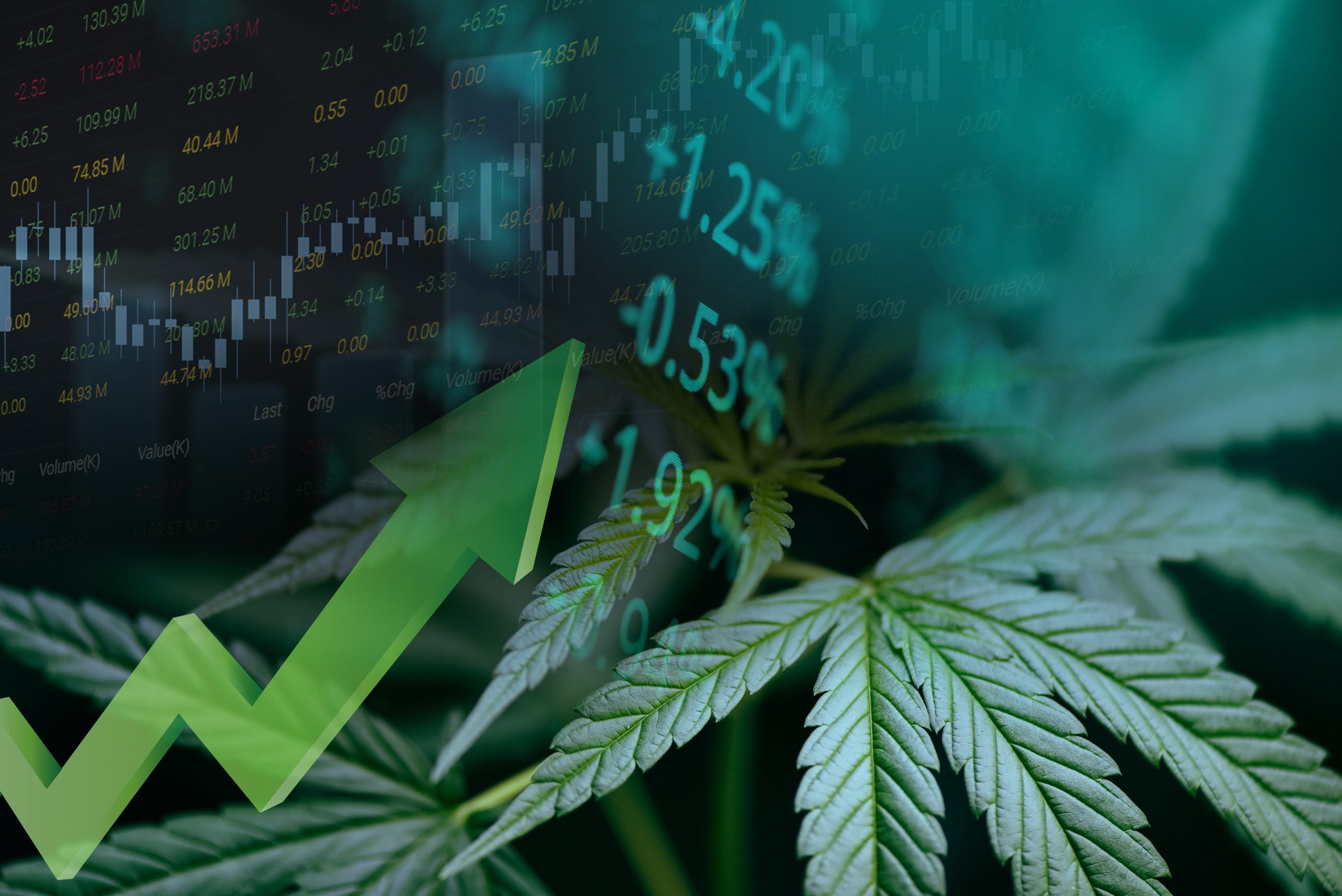 Economic Argument for Cannabis Legalization