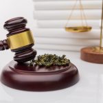 Cannabis Legalization; A Cause for Good?